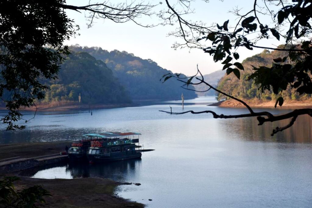 idukki wild life