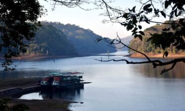idukki wild life