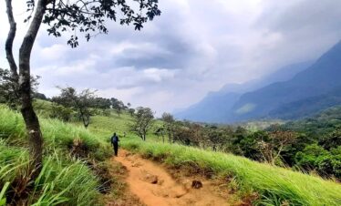 idukki wild life4