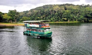 idukki wild life3
