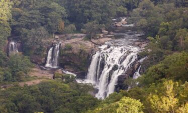 idukki wild life55