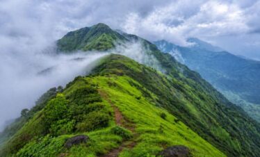 The misty, lush green peaks of the Kodachadri hills.