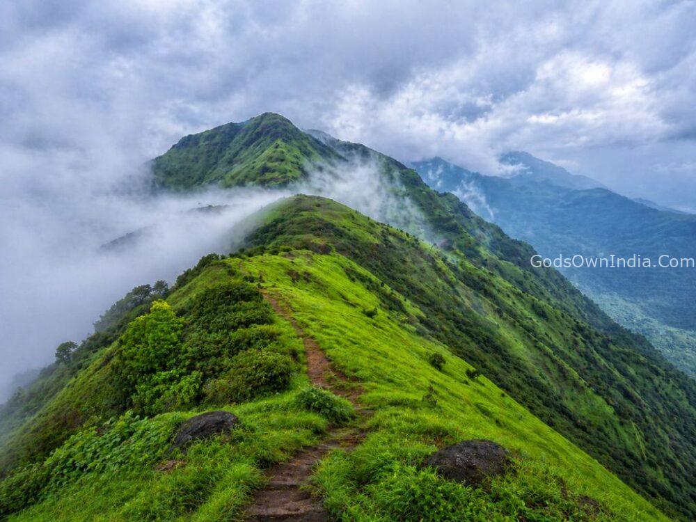 The misty, lush green peaks of the Kodachadri hills.